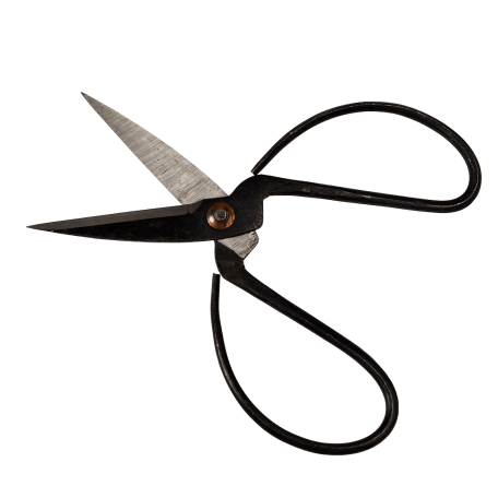 Your Garden Gardener'S Scissors