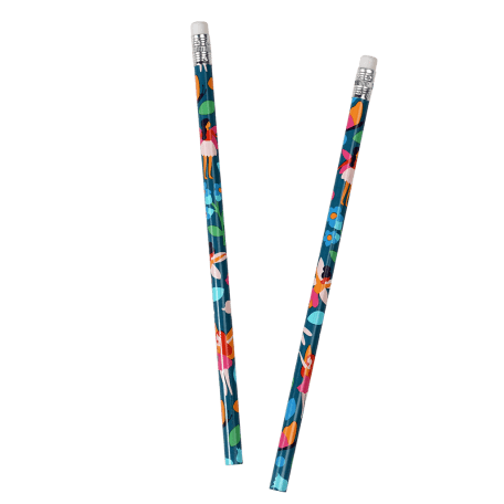 Fairies In The Garden Hb Pencils (set Of Six)