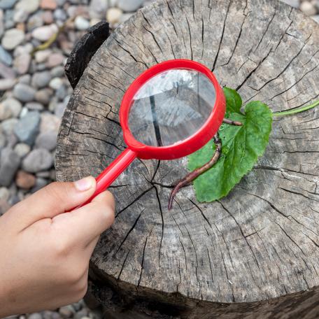 Wonders Of Nature Magnifying Glass