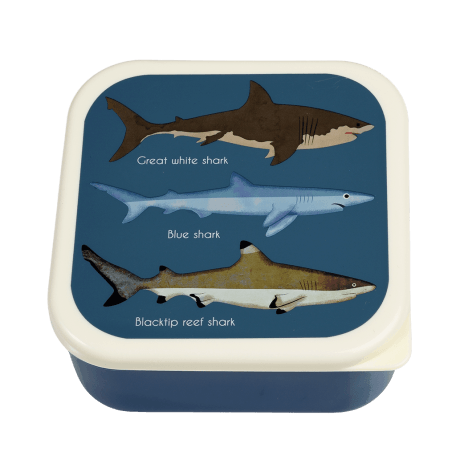 Sharks snack box large