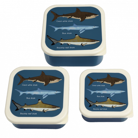 Three plastic snack boxes large medium small featuring images of sharks