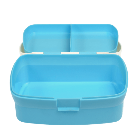 Butterfly Garden lunch box with lid open and tray removed