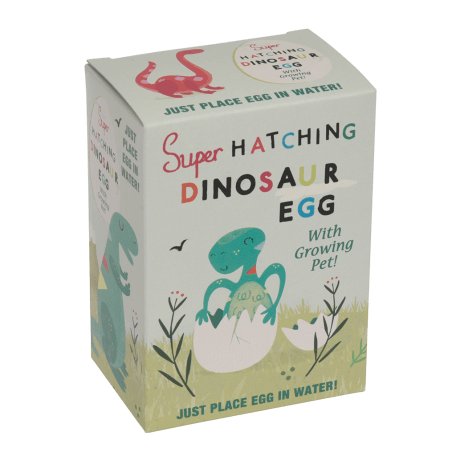 Hatch Your Own Dinosaur Egg