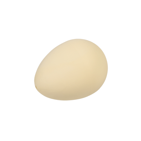 Hatch Your Own Dinosaur Egg