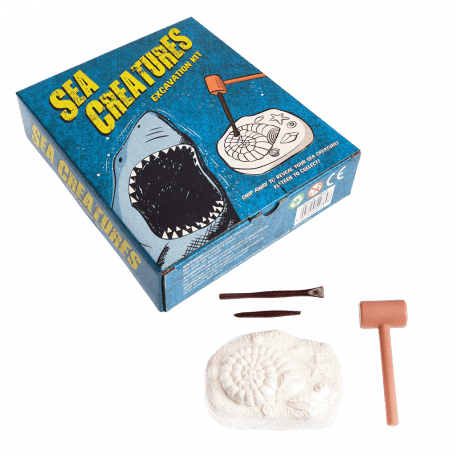 Sea Creature Excavation Kit