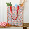 Tilde recycled shopping bag containing grocery shopping