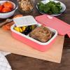 Double wall lunch box with divider - rose pink