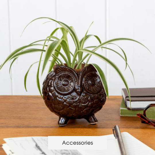 A small plant pot shaped like an owl sits on a desk, with a spider plant inside