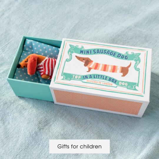 A sausage dog soft toy lies in a card box