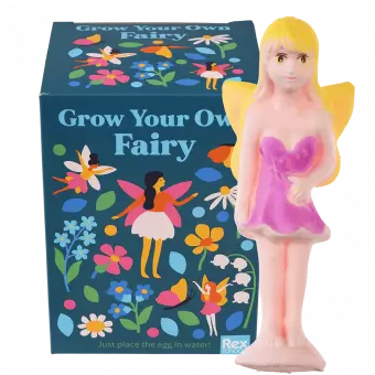 Fairies in the Garden grow your own fairy with box