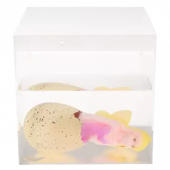 Giant hatching egg in container of water with fairy appearing