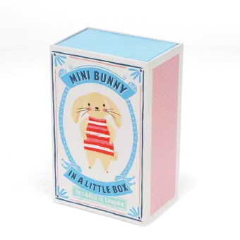 bunny-in-a-little-box