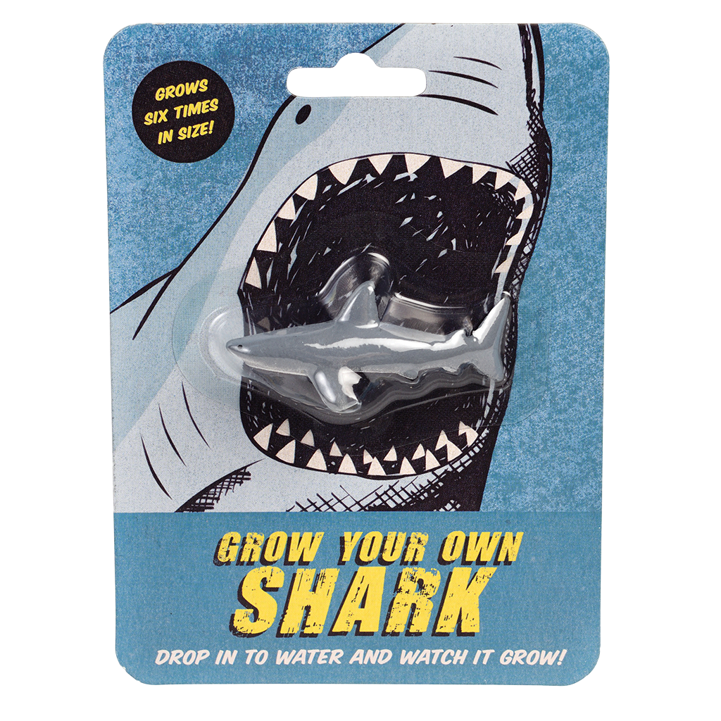 Grow Your Own Shark | Rex London