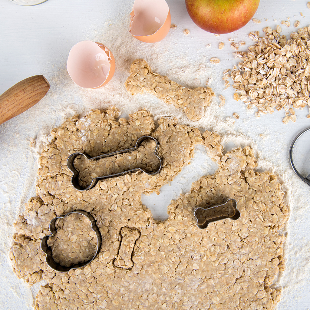 Make Your Own Doggy Treats Set 