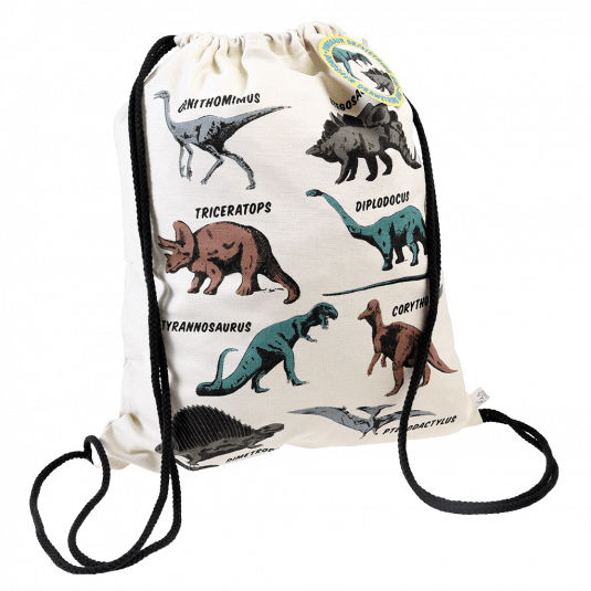 dinosaur drawstring backpack