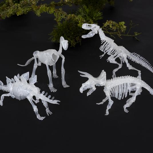 plastic dinosaur skeletons