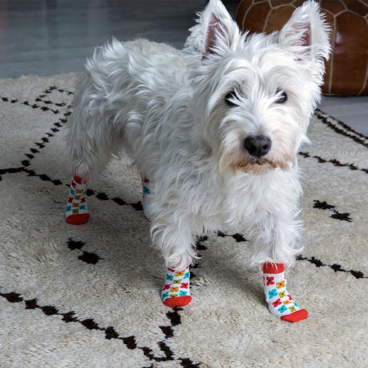 dog socks